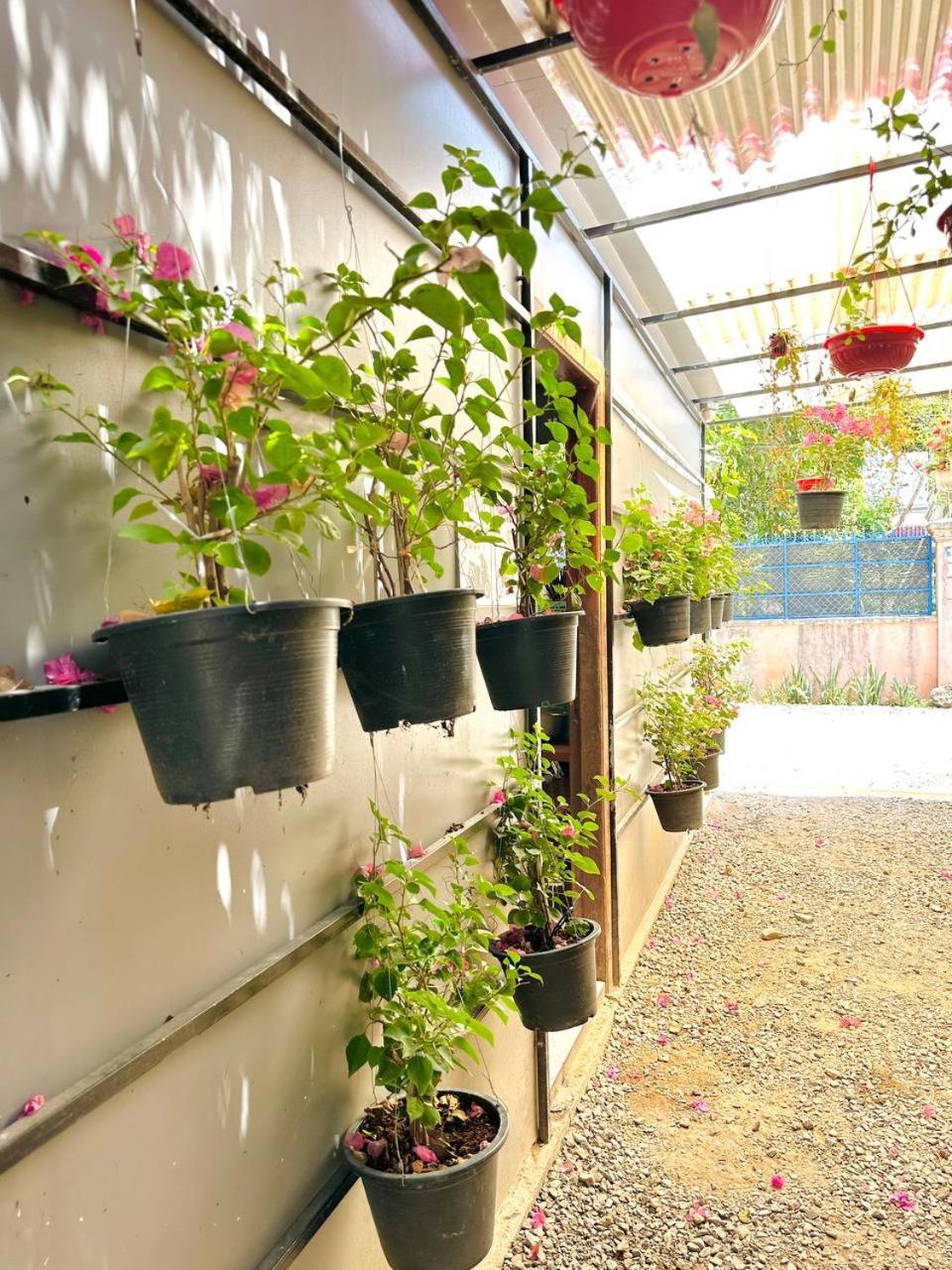 Angkor Piseth Homestay Siem Reap Exterior foto