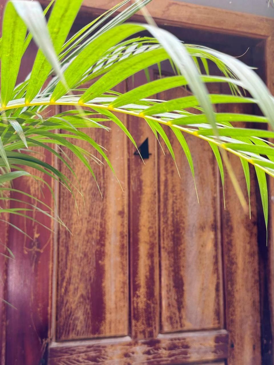 Angkor Piseth Homestay Siem Reap Exterior foto